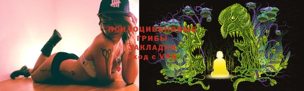 дурь Михайловск