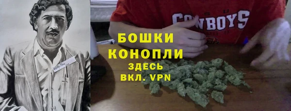 дурь Михайловск