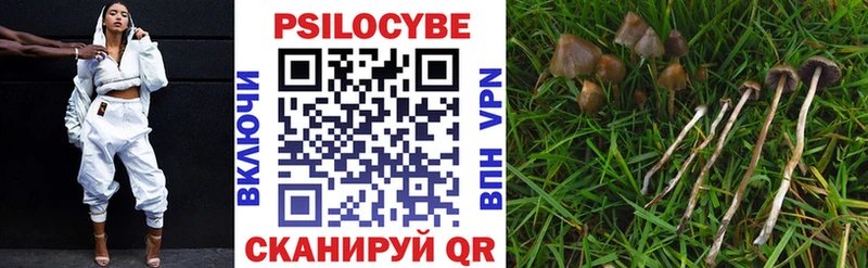 Псилоцибиновые грибы Cubensis  цены наркотик  Батайск 
