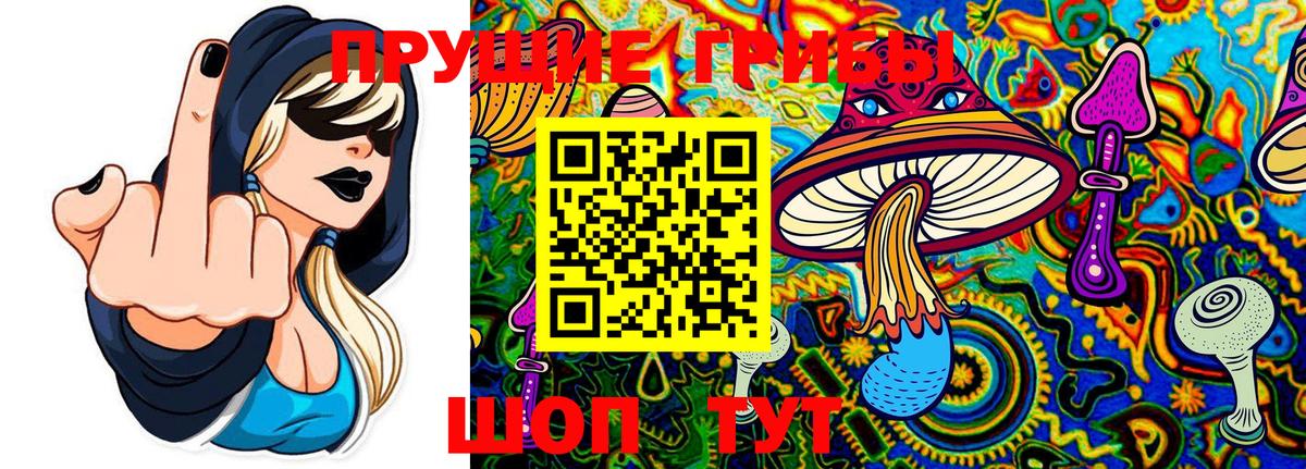 что такое   Батайск  Галлюциногенные грибы прущие грибы 