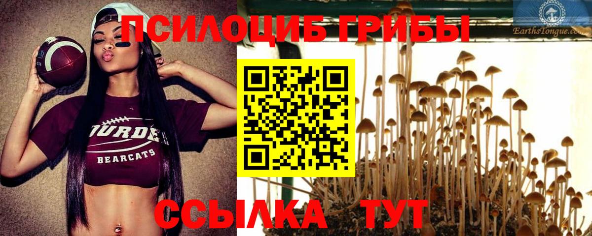 Псилоцибиновые грибы ЛСД  Вход с VPN  Батайск 